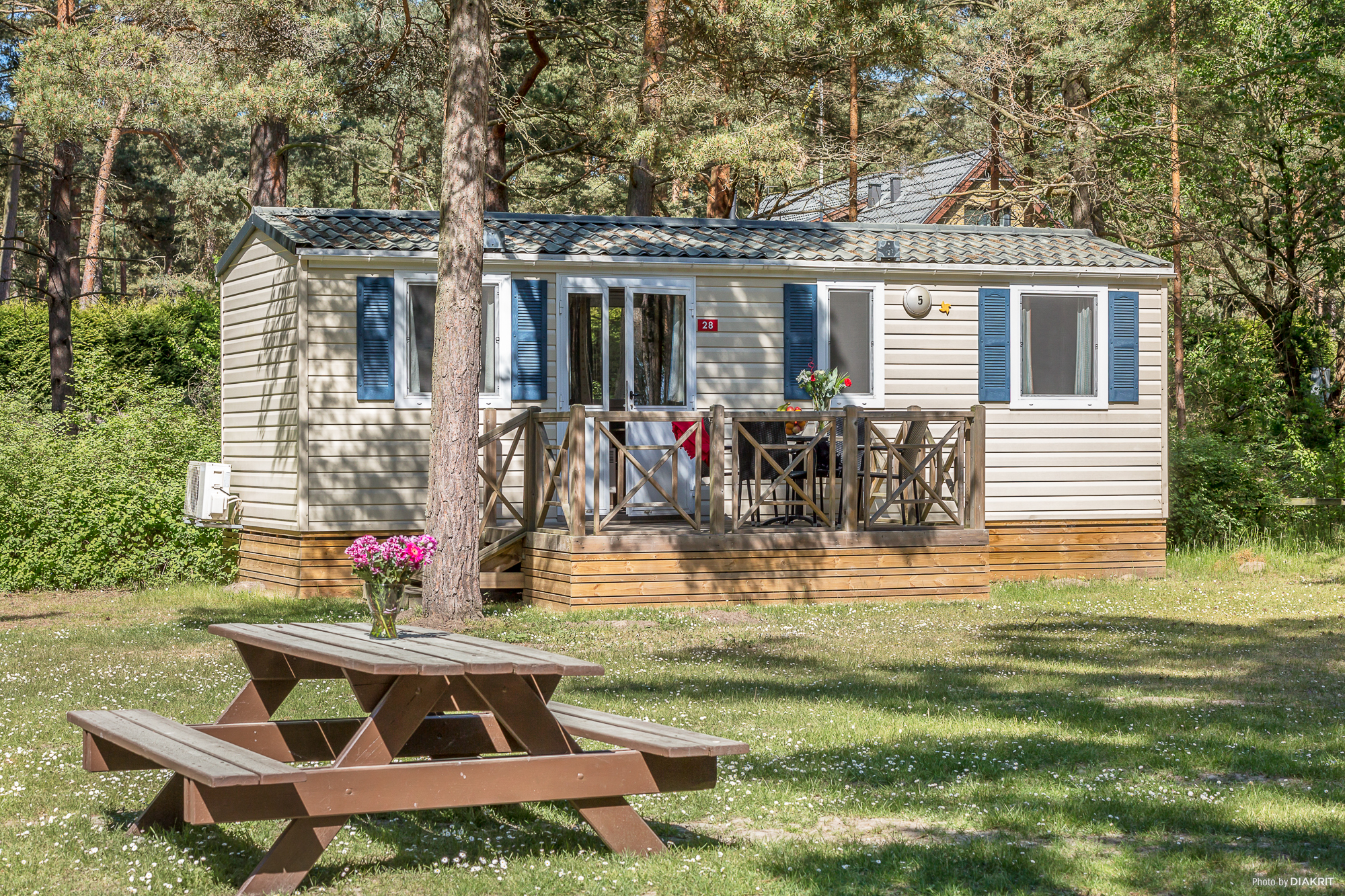 Download Picnic vid havet For iPhone Picnic Vid Havet